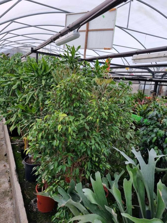 Jardinerie à Charleville-Mézières dans les Ardennes