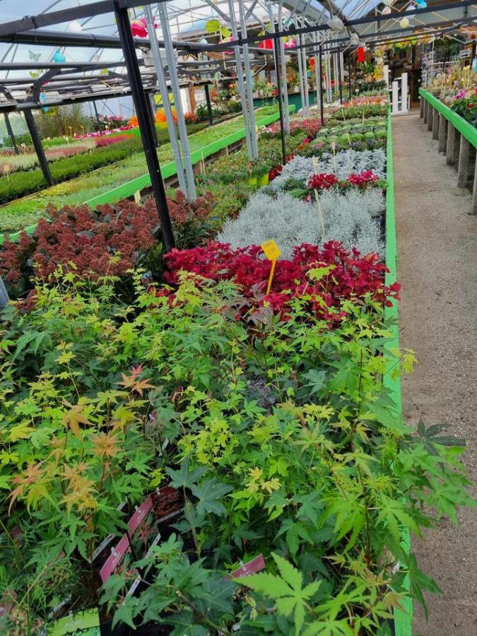 Jardinerie à Charleville-Mézières dans les Ardennes