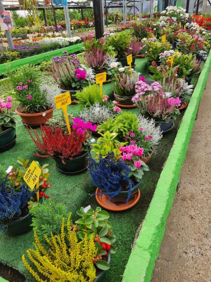 Jardinerie à Charleville-Mézières dans les Ardennes