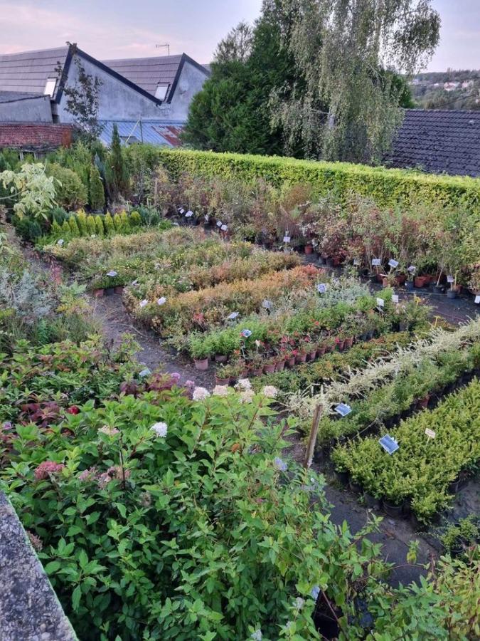 Jardinerie à Charleville-Mézières dans les Ardennes