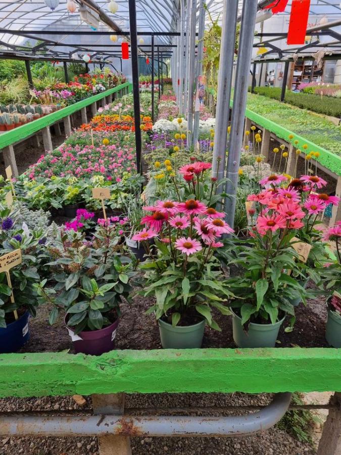 Jardinerie à Charleville-Mézières dans les Ardennes