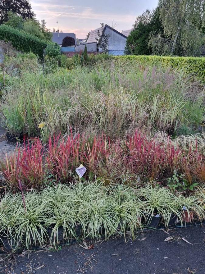 Jardinerie à Charleville-Mézières dans les Ardennes