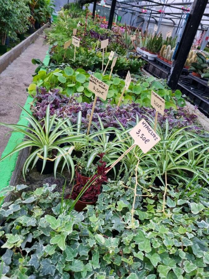 Jardinerie à Charleville-Mézières dans les Ardennes