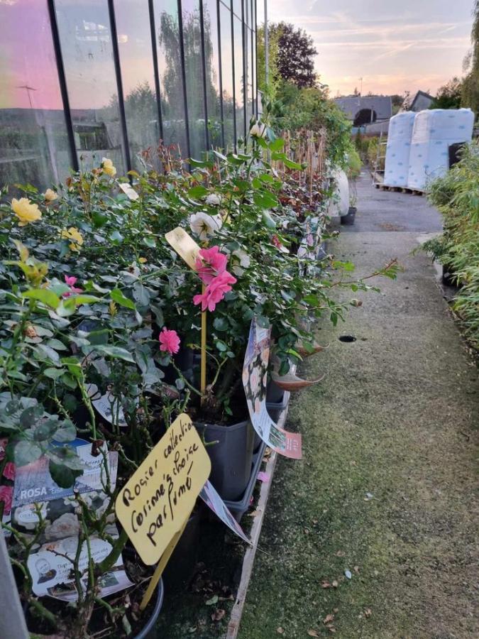 Jardinerie à Charleville-Mézières dans les Ardennes