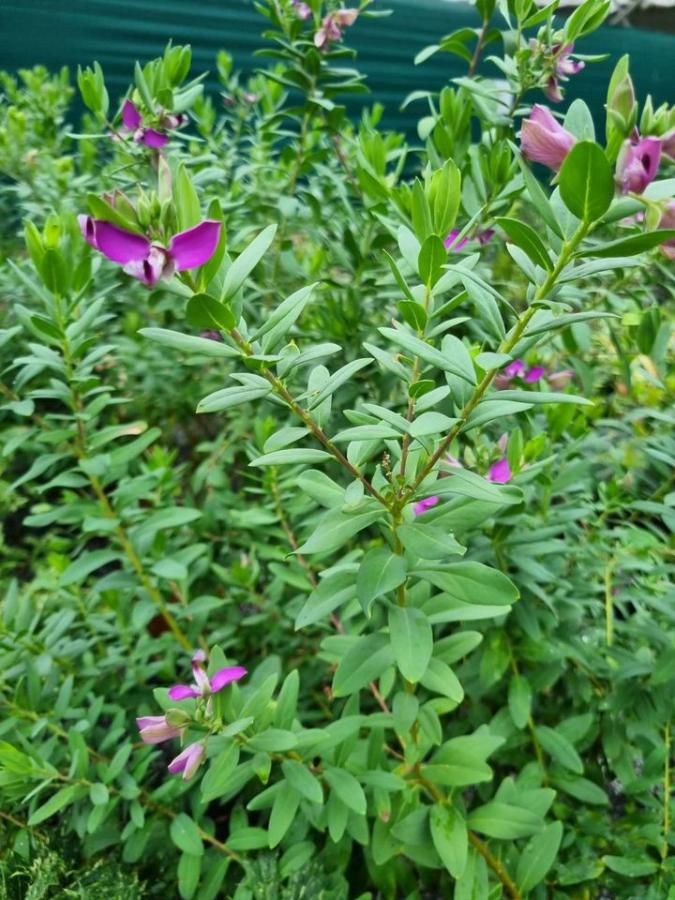 Jardinerie à Charleville-Mézières dans les Ardennes