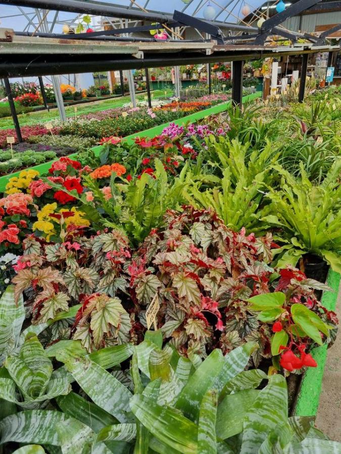 Jardinerie à Charleville-Mézières dans les Ardennes